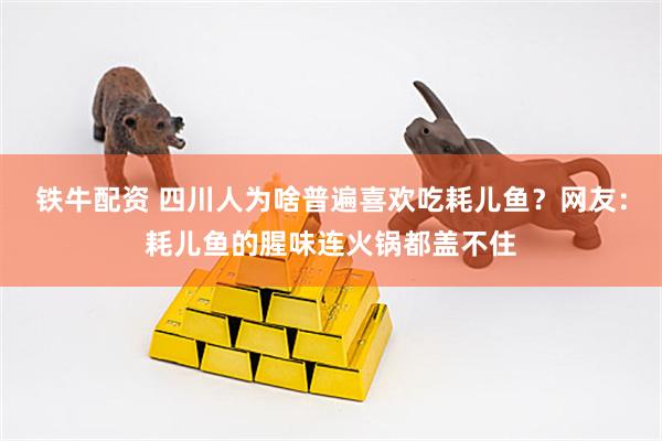 铁牛配资 四川人为啥普遍喜欢吃耗儿鱼?网友:耗儿鱼的腥味连火锅都盖不住